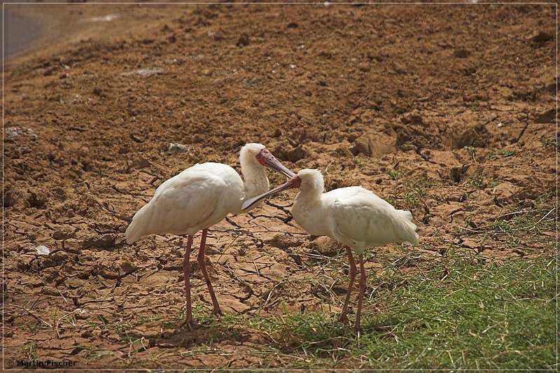 Kenia2006_003