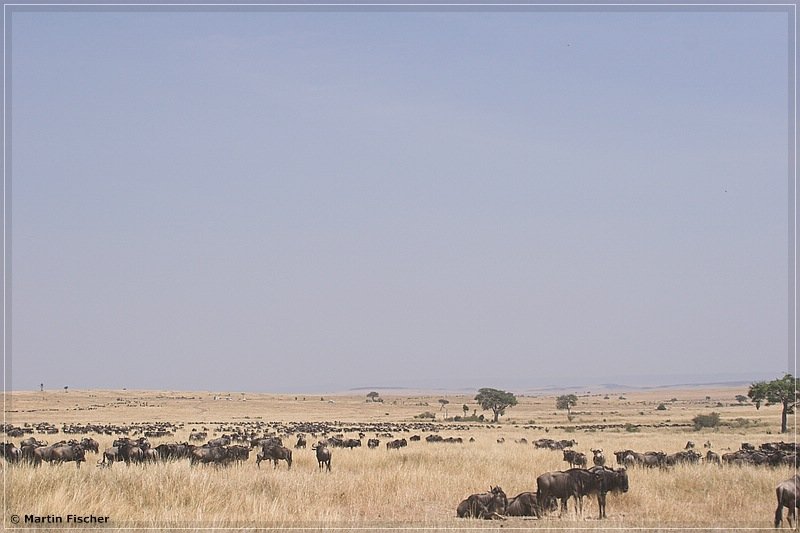 Kenia2006_082