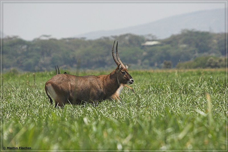 Kenia2006_107