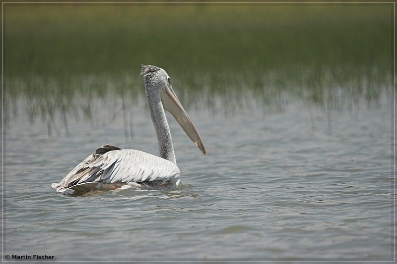 Kenia2006_112