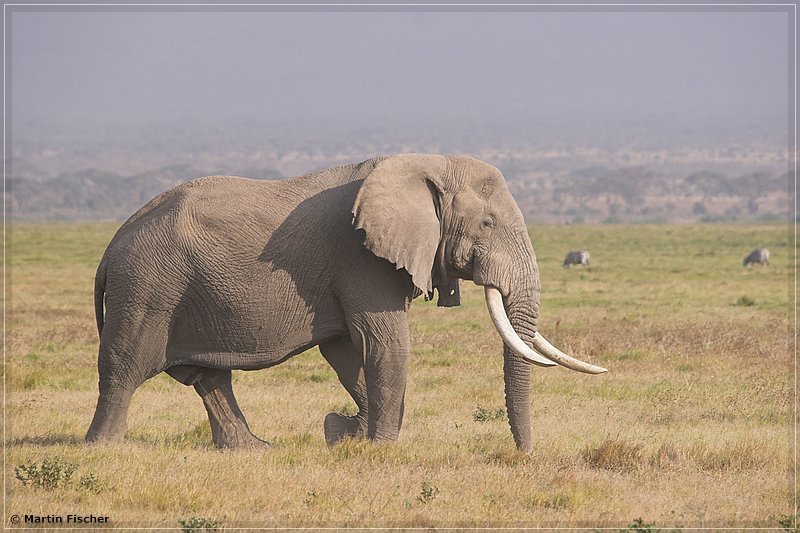 Kenia2006_144