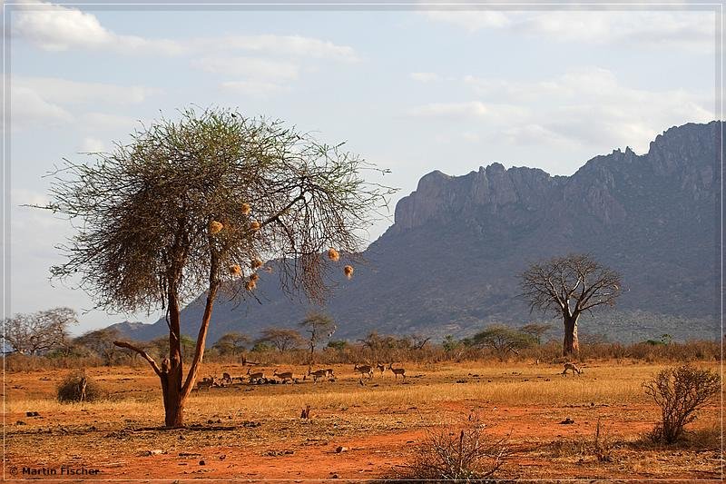 Kenia2006_185