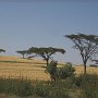 Kenia2006_103.jpg