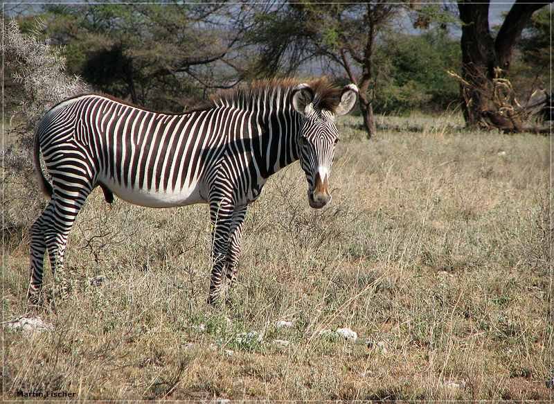 Kenia2007_026