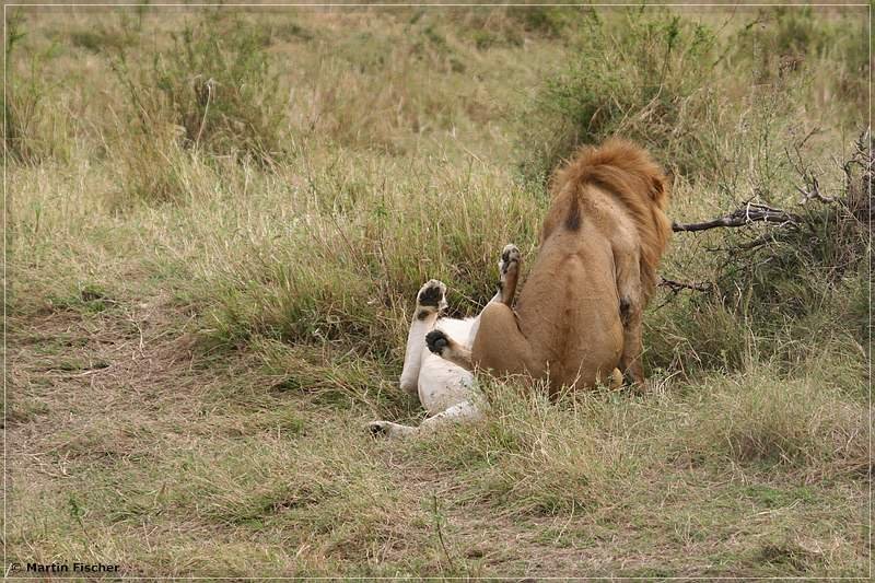Kenia2007_081