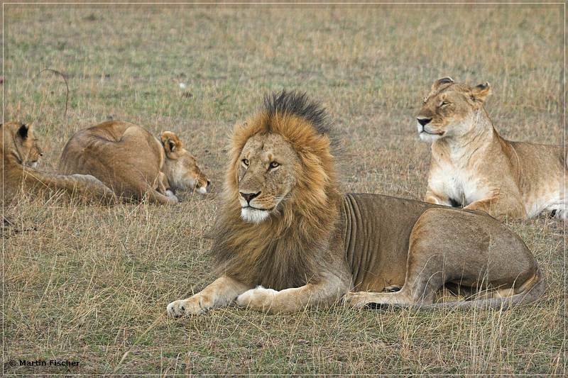 Kenia2008_028