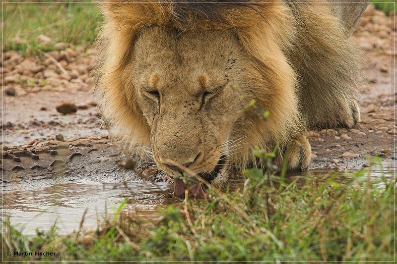 Kenia2008_125