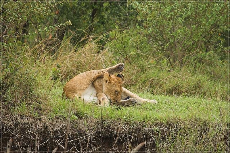 Kenia2008_137