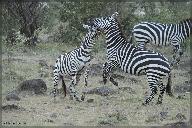 Kenia2011_070