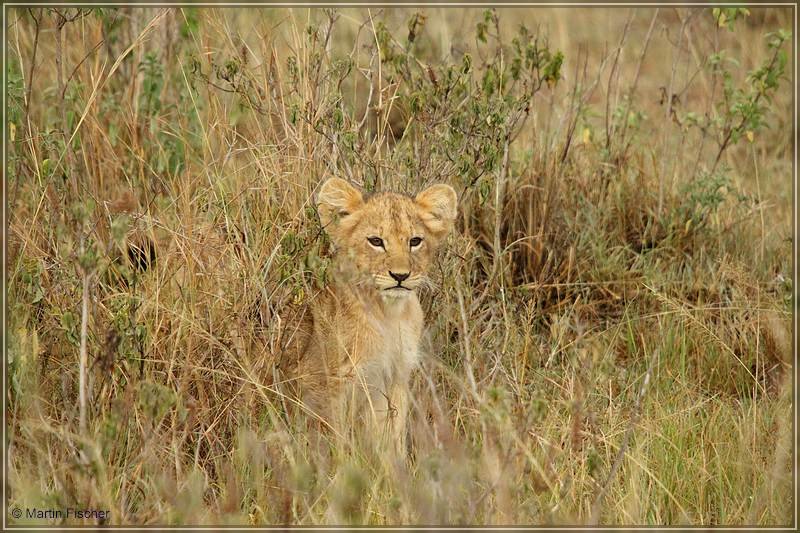 Kenia2011_075