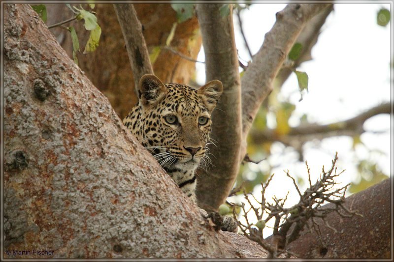 Kenia2011_091