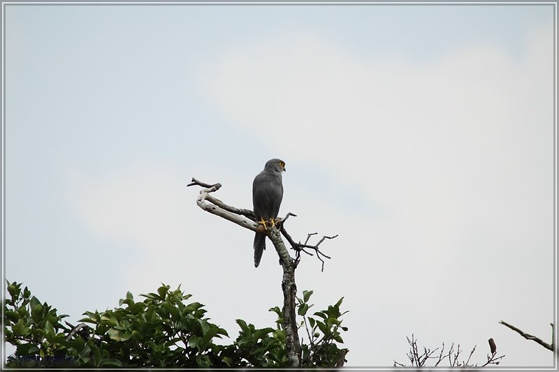 Kenia2011_098