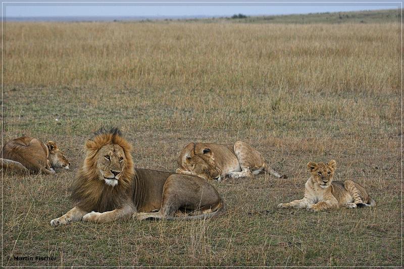Kenia2008_030