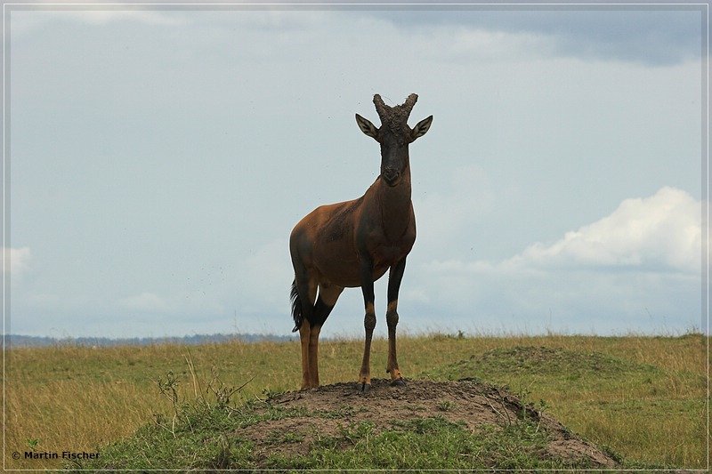Kenia2008_109